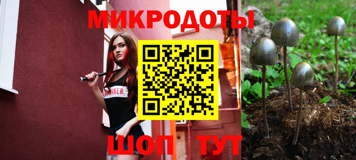 что такое наркотик  Вход с VPN  Назарово  Псилоцибиновые грибы Cubensis  Псилоцибиновые грибы GOLDEN TEACHER 